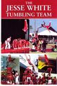 Click to Download The Jesse White Tumbling Team Flyer in PDF format
